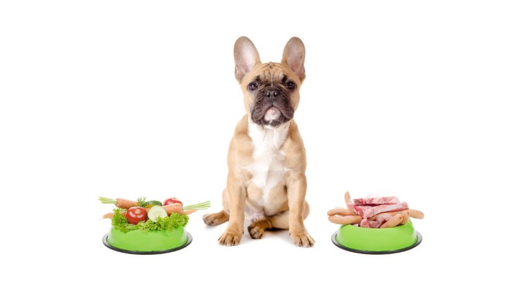 витамины для собак при натуральном кормлении