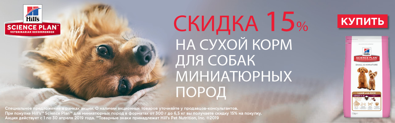 Интернет Магазин Зоомагазин Корм
