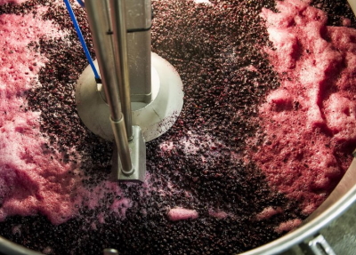Ферментация вина