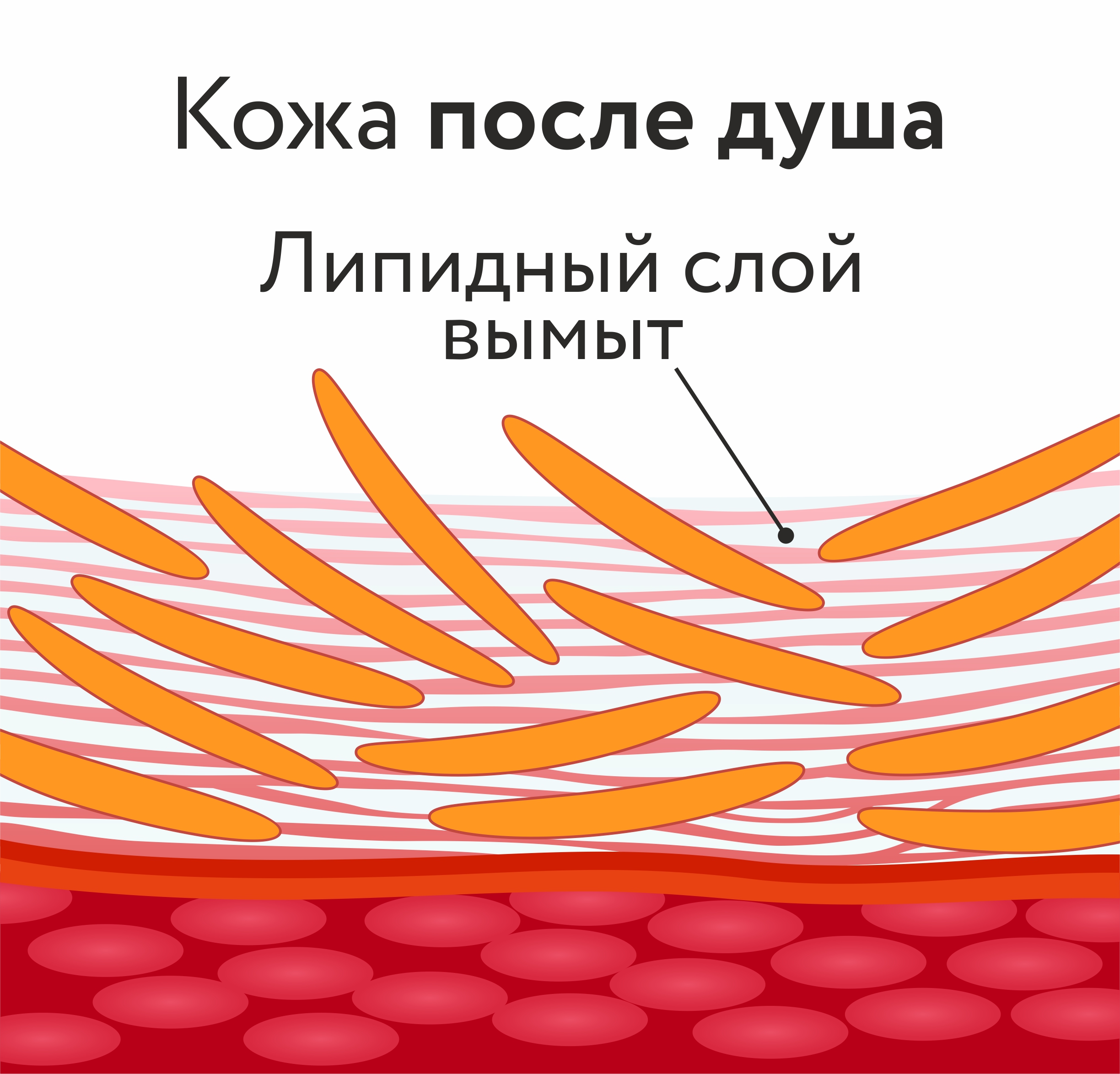 slim you код на скидку. 2 2 1. slim you код на скидку фото. slim you код на скидку-2 2 1. картинка slim you код на скидку. картинка 2 2 1. Причинами возникновения целлюлита являются несбалансированное питание, отсутствие физической нагрузки, дисфункция желез внутренней секреции, нарушение обмена веществ.