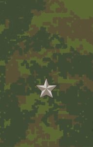 как узнать какие войска по форме