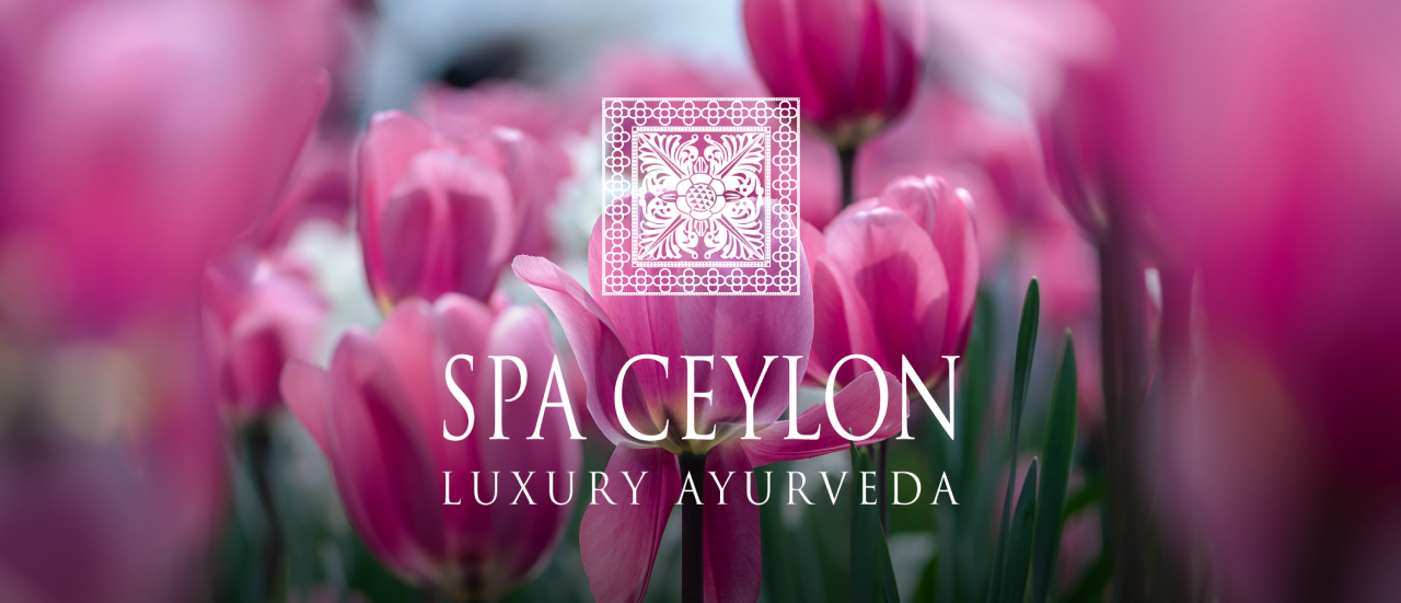 Уход за кожей весной вместе со Spa Ceylon Уход за кожей весной вместе со Spa Ceylon