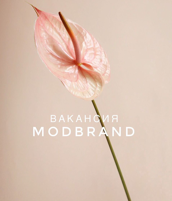 Вакансии MODBRAND Вакансии MODBRAND