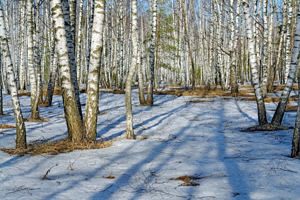 Готовимся к весне вместе с косметологом! 🦋