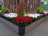 Преимущества грядки из ДПК доски