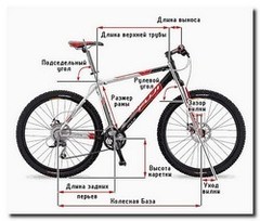 На что влияет высота рулевого стакана. Смотреть фото На что влияет высота рулевого стакана. Смотреть картинку На что влияет высота рулевого стакана. Картинка про На что влияет высота рулевого стакана. Фото На что влияет высота рулевого стакана