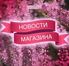 Сбой в работе СДЭК