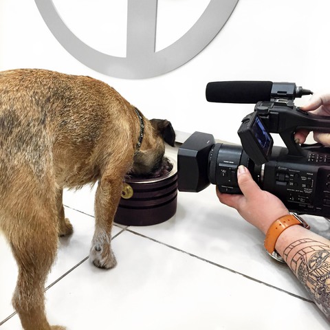 PETTEL ON TV