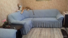 Отзыв от клиента Татьяна Низова