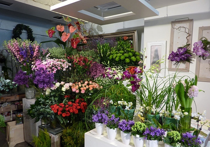 Lotus цветочный магазин