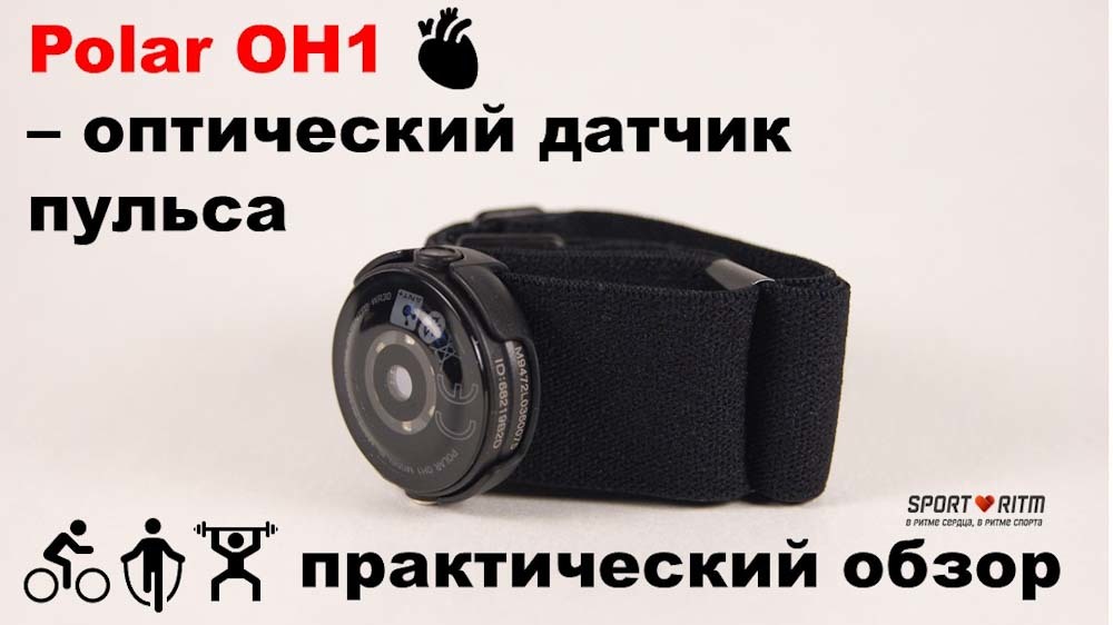 Практический обзор датчика пульса Polar OH1 Практический обзор датчика пульса Polar OH1