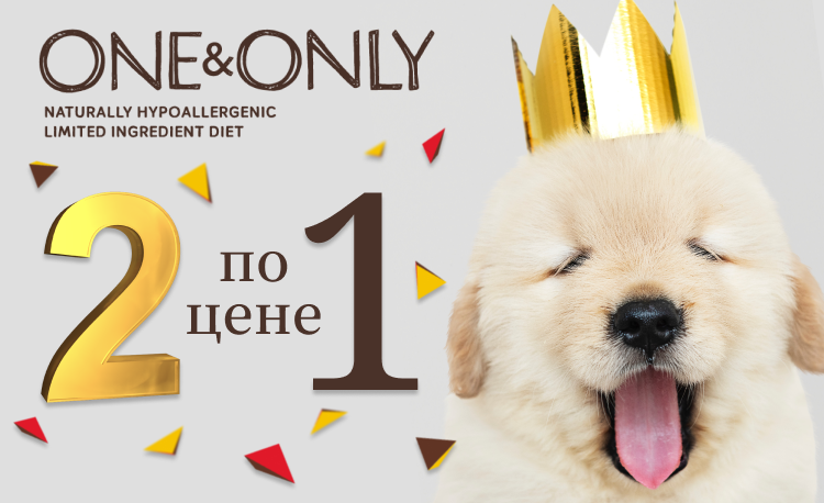 ONE & ONLY | Акция 1+1| Завершена!