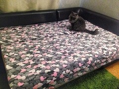 Отзыв от клиента Любовь Куц