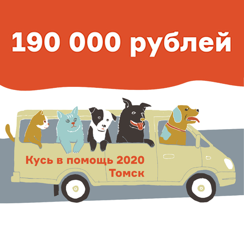 Кусь в помощь 2020/ Помогаем приюту в Томске