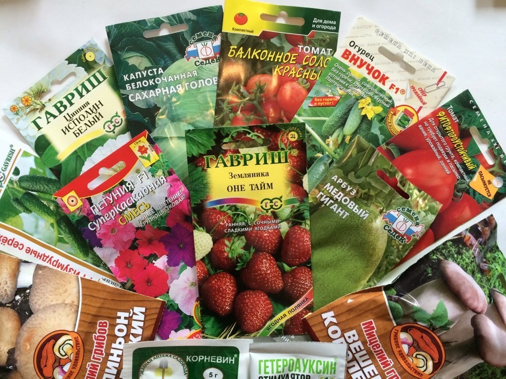 Интернет магазин семян в красноярске как вырастить марихуану в системном блоке