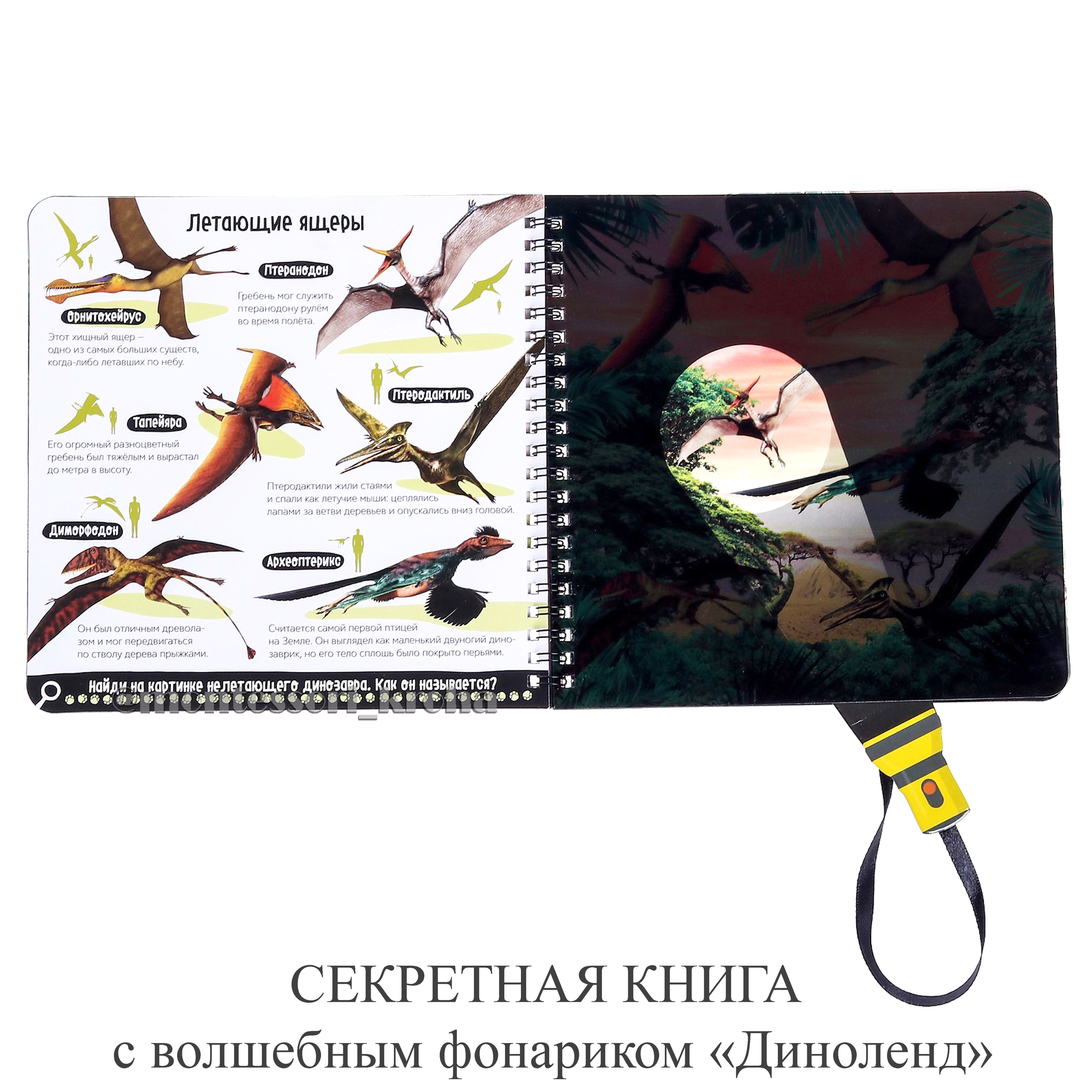 Книга С Фонариком Куда Пропал Новый Год Книга С Фонариком Куда Пропал Новый Год