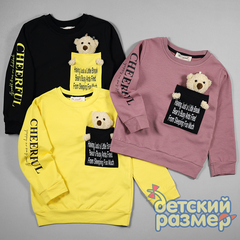 Свитшот (плюшевая игрушка)