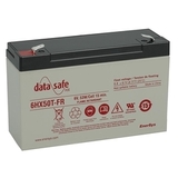Аккумулятор EnerSys DataSafe 6HX50 ( 6V 11Ah / 6В 11Ач ) - фотография Аккумулятор EnerSys DataSafe 6HX50 ( 6V 11Ah / 6В 11Ач ) - фотография