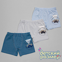 Боксеры