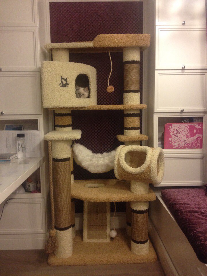 Пуфик домик для кошки