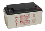 Аккумулятор EnerSys Genesis NP65-12 ( 12V 65Ah / 12В 65Ач ) - фотография Аккумулятор EnerSys Genesis NP65-12 ( 12V 65Ah / 12В 65Ач ) - фотография