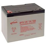 Аккумулятор EnerSys Genesis NP75-12 ( 12V 75Ah / 12В 75Ач ) - фотография Аккумулятор EnerSys Genesis NP75-12 ( 12V 75Ah / 12В 75Ач ) - фотография
