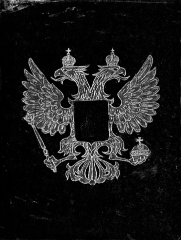 Amateur Bird Watching at Passport Control, Imperial Eagle, Russia Amateur Bird Watching at Passport Control, Imperial Eagle, Russia