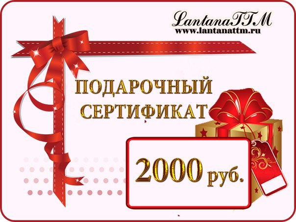 Сертификат В Магазин Сумок В Москве