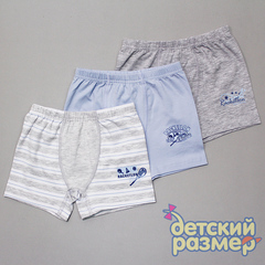 Боксеры