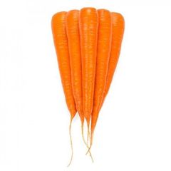 Каротан рз семена моркови флакке (Rijk Zwaan / Райк Цваан)
