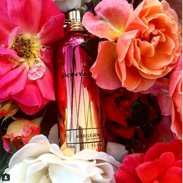aoud legend montale