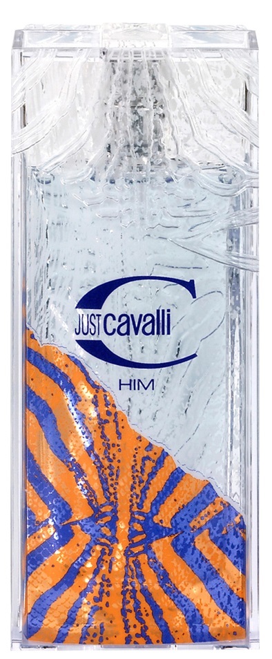 Roberto Cavalli Just Cavalli for Him 2004 EDT