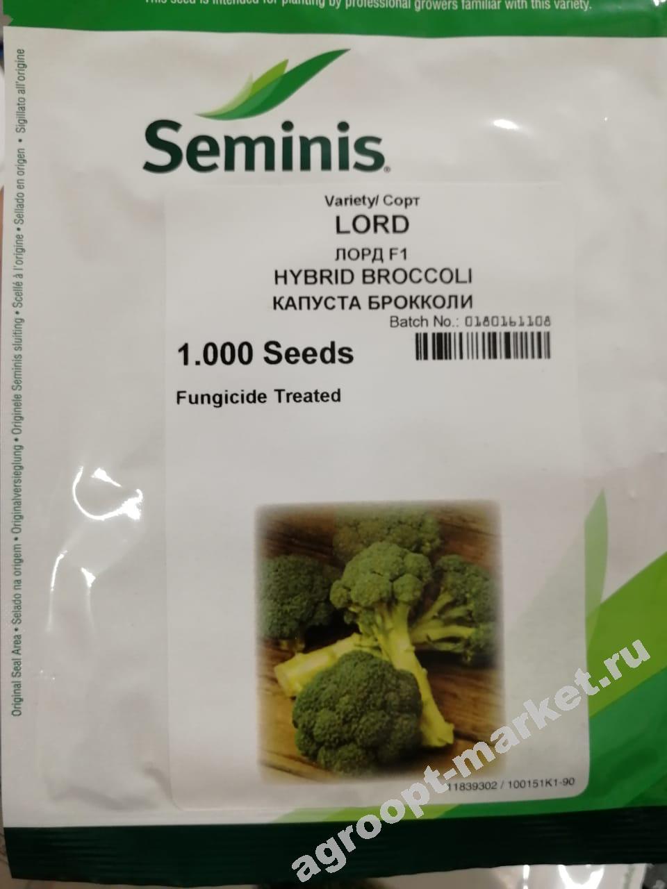 Капуста Лорд F1 (Seminis) - купить семена из Голландии оптом - АГРООПТ