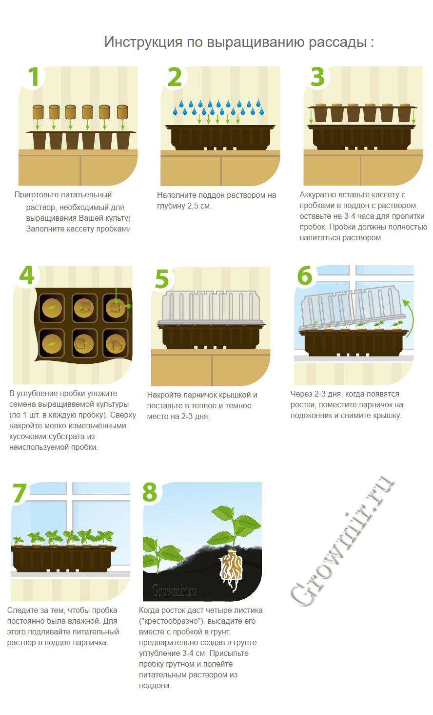 Петуния семена рассада. Приспособления для высадки петунии. Схема посадки баклажан в открытый грунт рассадой. Выращиваем рассаду. Петуния всходы рассада.
