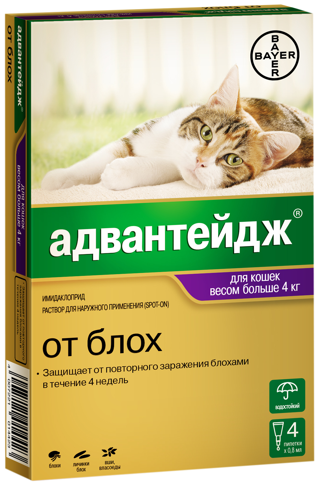 Личинки У Кошек Фото Личинки У Кошек Фото