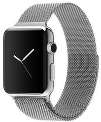Ремешок из нержавеющей стали COTEetCI W6 MAGNET Band (WH5203-TS) для Apple Watch 44мм/ 42мм Серебристый