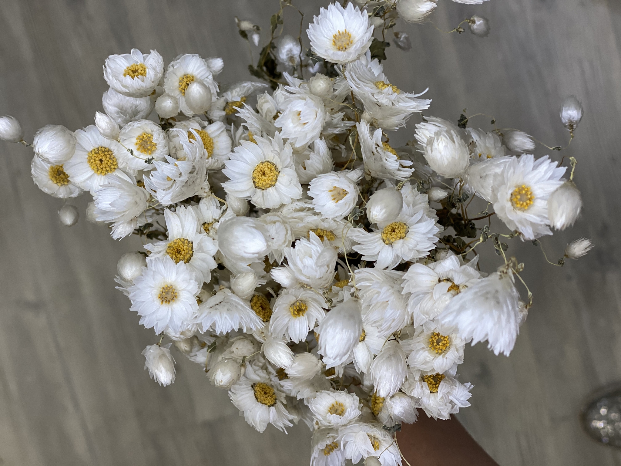 сухоцветы для декора. роданте сухоцвет. сухие цветы букет. ромашки сухоцветы букет. сухоцветы ромашки.