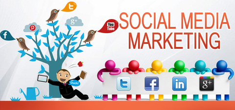 SMM в фитнесе (IFS для сотрудников) https://static-sl.insales.ru/images/products/1/4877/137171725/SMM-banner.jpg