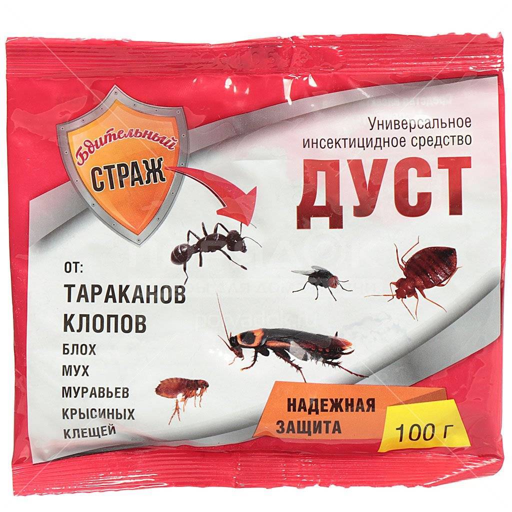 Сливки Магазин Одежды В Нижнем Новгороде Муравей