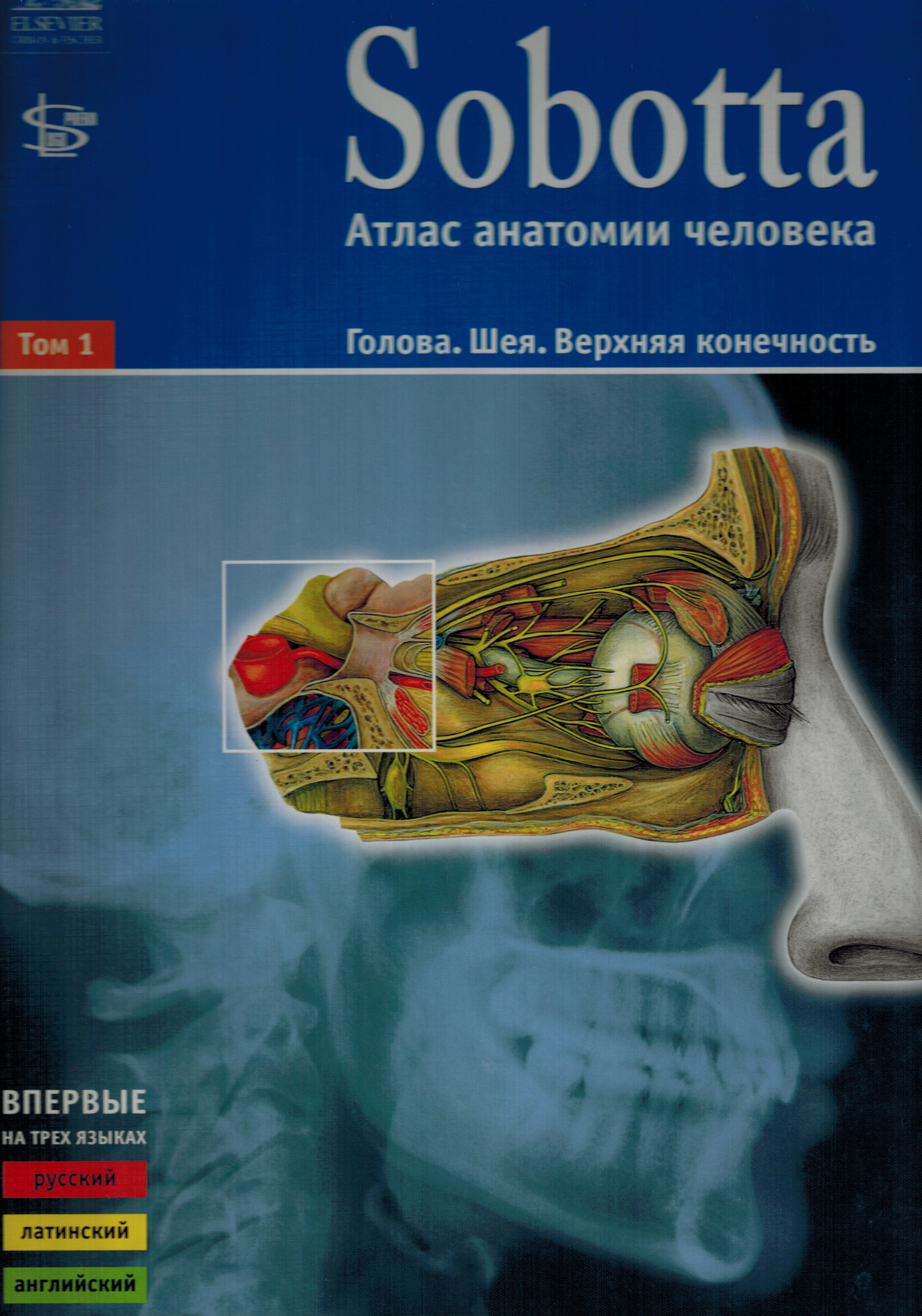 Sobotta. Атлас анатомии человека в 2-х томах. Том 1. Голова. Шея ...
