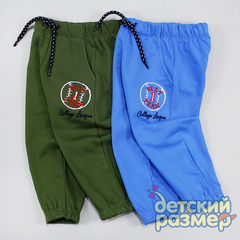 Брюки (вышивка)