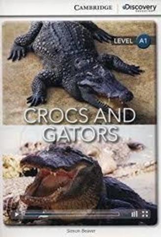 crocs online