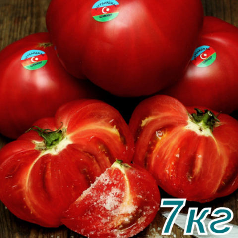 large_3768_pomidor_rozoviy_2.jpg
