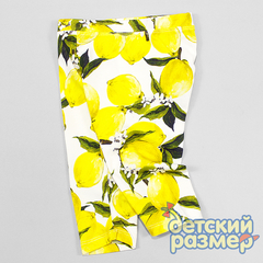 Бриджи 86-104