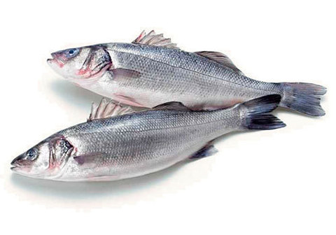 Рыба Сибас Фото Цена