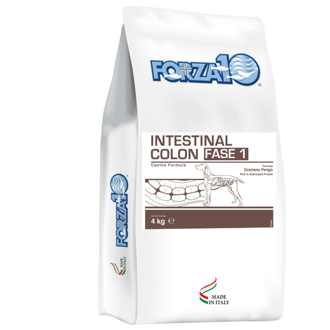Forza10 INTESTINAL COLON ФАЗА 1
