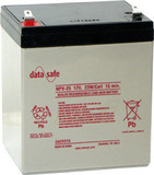 Аккумулятор EnerSys DataSafe NPX-25-12FR ( 12V 5Ah / 12В 5Ач ) - фотография Аккумулятор EnerSys DataSafe NPX-25-12FR ( 12V 5Ah / 12В 5Ач ) - фотография