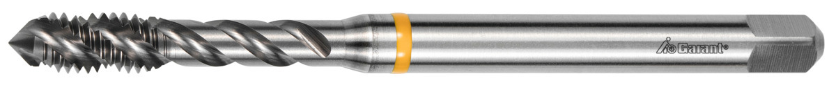 hoffmann group