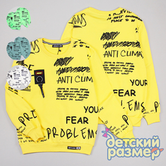 Свитшот (унисекс)