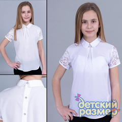 Блузка (шифон, брошь)